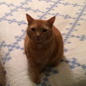 Meet your Posher, Thomas